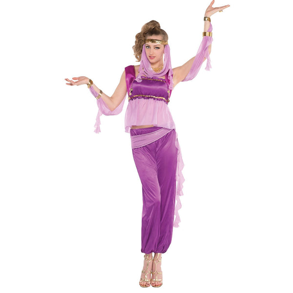 Arabian Nights Princess Costume Adult Jasmine Belly Dancer 