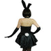 Yummy Bee Ladies Plus Size Sexy Bunny Costume + Free Fishnet Tights Back
